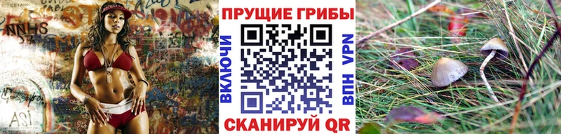 закладки ссылка на мегу как зайти Галлюциногенные грибы ЛСД Альметьевск